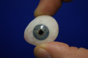 Close up of an Eye Prosthesis