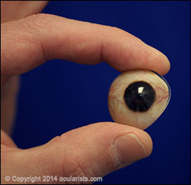 close up of eye prosthesis
