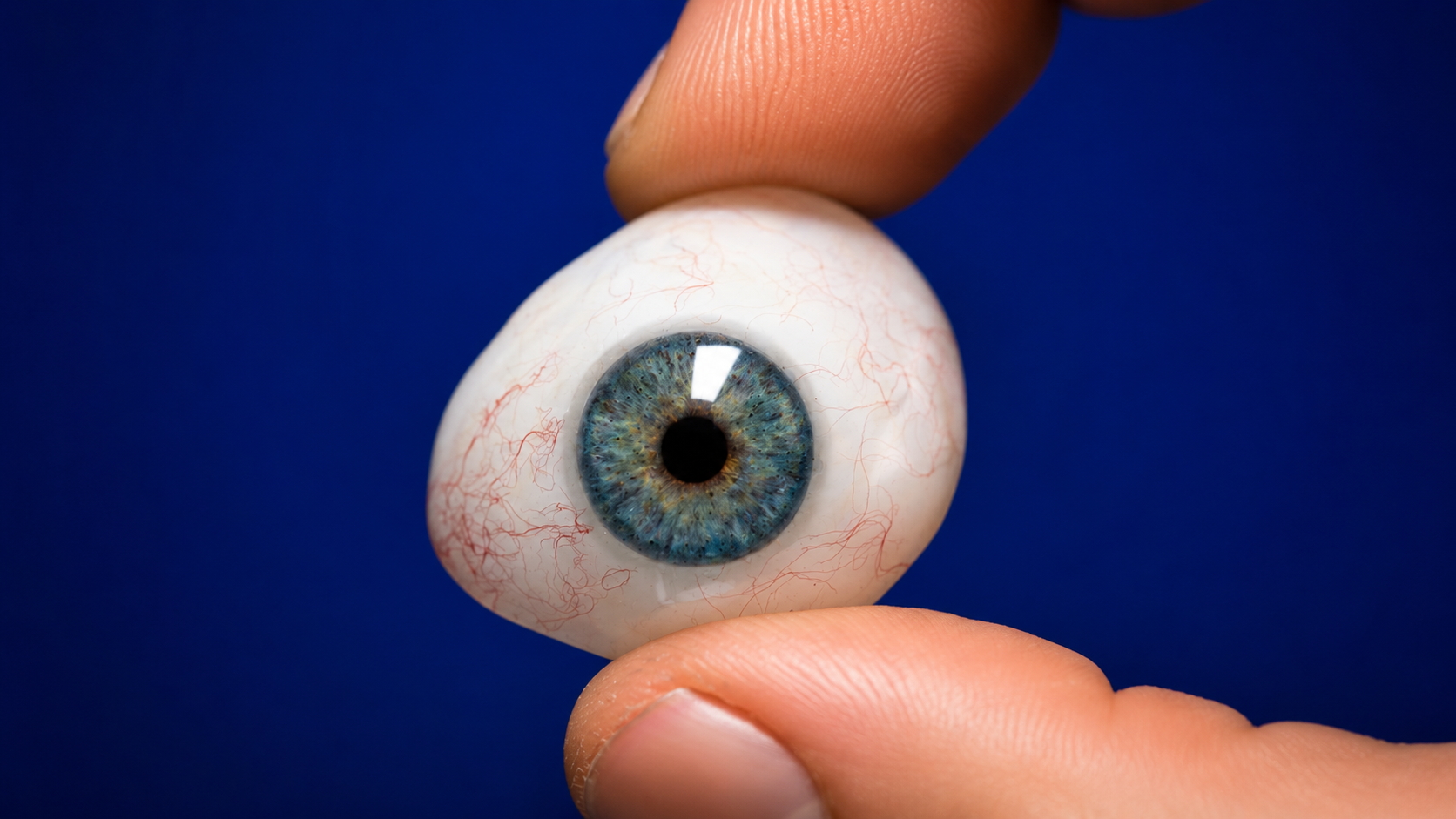 prosthetic eye macro blue prosthetic iris ocular