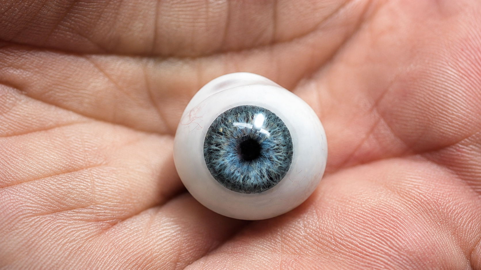 04 prosthetic eye in palm macro pediatric ocular prosthesis