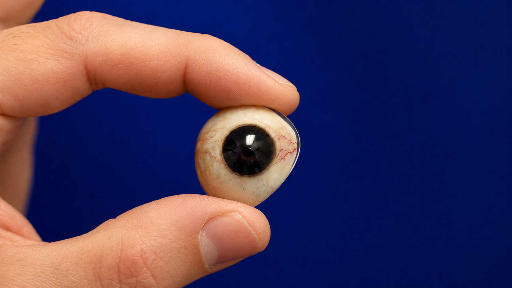 dark iris prosthetic eye in fingers